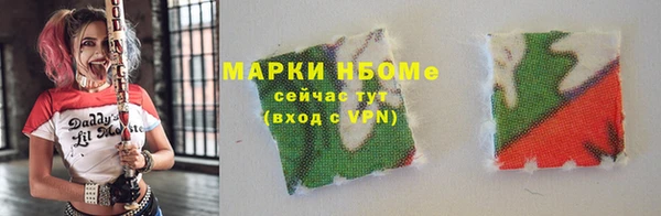 гашик Вязьма