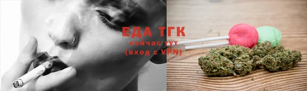 гашик Вязьма