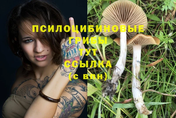 первитин Вяземский