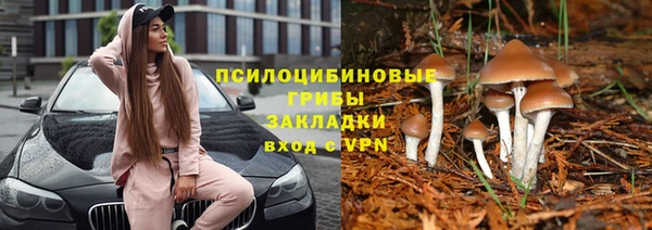 ГАЛЛЮЦИНОГЕННЫЕ ГРИБЫ Вязники