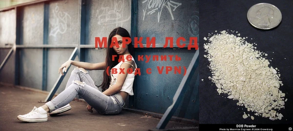 гашик Вязьма