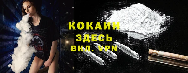 гашик Вязьма