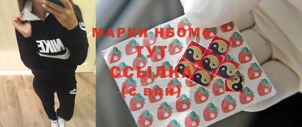 ГАЛЛЮЦИНОГЕННЫЕ ГРИБЫ Вязники