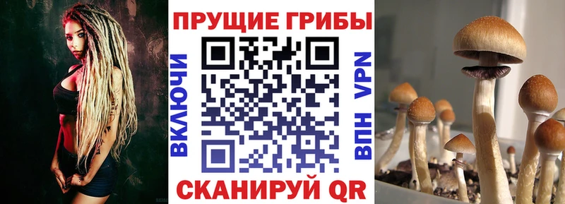 Псилоцибиновые грибы прущие грибы  Людиново 